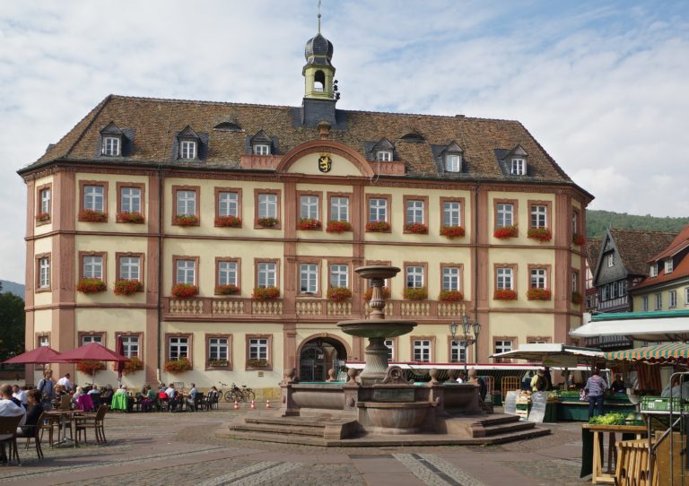 Geoplex erstellt Solar- und Gründachkataster für Neustadt an der Weinstraße!