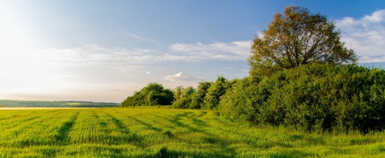 Das Biosphärenreservat Bliesgau setzt auf PlexMap Solar!
