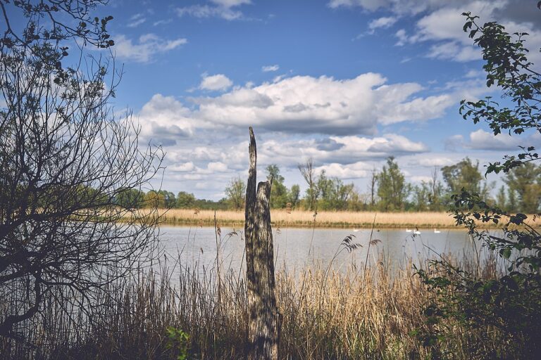 ILE Inntal setzt auf PlexMap Immo